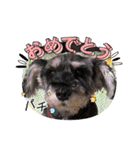 アリコちゃん6（個別スタンプ：14）