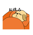 ラブラドールにハッピーをしようぜ！（個別スタンプ：19）