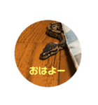 爬虫類好き過ぎて（個別スタンプ：13）