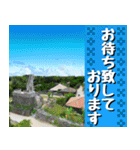 沖縄のミンサー柄大好き！沖縄大好き！（個別スタンプ：12）