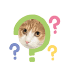 ぺぺビビすたんぷ【日常編】（個別スタンプ：1）
