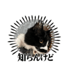 ぺぺビビすたんぷ【日常編】（個別スタンプ：6）