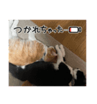 ぺぺビビすたんぷ【日常編】（個別スタンプ：7）