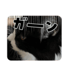 ぺぺビビすたんぷ【日常編】（個別スタンプ：11）