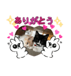 ぺぺビビすたんぷ【日常編】（個別スタンプ：14）