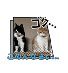 ぺぺビビすたんぷ【日常編】（個別スタンプ：16）