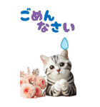 BIGスタンプ アメショ（個別スタンプ：4）