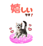 BIGスタンプ アメショ（個別スタンプ：8）