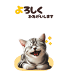 BIGスタンプ アメショ（個別スタンプ：28）