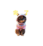 キュートな花ちゃん（3DキャットVer.）（個別スタンプ：9）
