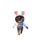 キュートな花ちゃん（3DキャットVer.）（個別スタンプ：15）