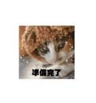 【動く】三毛猫みろくのスタンプ（個別スタンプ：7）