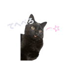 くろねこレオンのスタンプ（個別スタンプ：4）