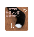 くろねこレオンのスタンプ（個別スタンプ：9）