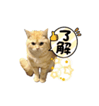 ぽてーっと（個別スタンプ：6）