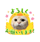 ぽてーっと（個別スタンプ：15）