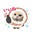ぽてーっと（個別スタンプ：17）