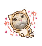ぽてーっと（個別スタンプ：27）
