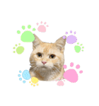 ぽてーっと（個別スタンプ：30）