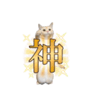 ぽてーっと（個別スタンプ：31）