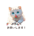 スイーツもふねこの癒しスタンプ2（個別スタンプ：16）
