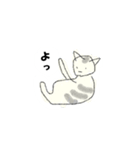 シンプルな水彩猫スタンプ（個別スタンプ：11）