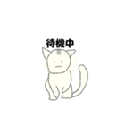 シンプルな水彩猫スタンプ（個別スタンプ：14）