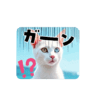 幸運の白い猫総本山・虎王丸（AI）（個別スタンプ：5）