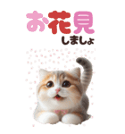 BIGスタンプ スコティッシュフォールド（個別スタンプ：12）
