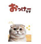 BIGスタンプ スコティッシュフォールド（個別スタンプ：38）