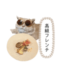 老け顔猫のわたげとご飯（個別スタンプ：15）