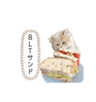 老け顔猫のわたげとご飯（個別スタンプ：18）