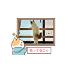 ポラネちゃんをよろしく2（個別スタンプ：5）