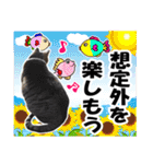 リアルキジトラ❤笑える猫写真12（個別スタンプ：35）