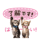 気持ちを伝える♡ねこスタンプ（個別スタンプ：3）