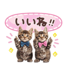 気持ちを伝える♡ねこスタンプ（個別スタンプ：6）