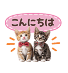 気持ちを伝える♡ねこスタンプ（個別スタンプ：9）