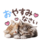 気持ちを伝える♡ねこスタンプ（個別スタンプ：10）