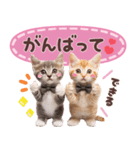 気持ちを伝える♡ねこスタンプ（個別スタンプ：11）