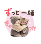 気持ちを伝える♡ねこスタンプ（個別スタンプ：20）