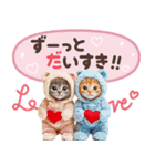 気持ちを伝える♡ねこスタンプ（個別スタンプ：25）