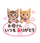 気持ちを伝える♡ねこスタンプ（個別スタンプ：27）