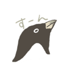 たまに怖い顔をするアデリーペンギン2（個別スタンプ：3）