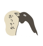 たまに怖い顔をするアデリーペンギン2（個別スタンプ：5）