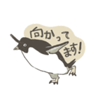 たまに怖い顔をするアデリーペンギン2（個別スタンプ：6）