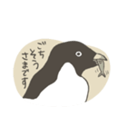 たまに怖い顔をするアデリーペンギン2（個別スタンプ：8）