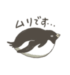 たまに怖い顔をするアデリーペンギン2（個別スタンプ：9）
