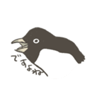 たまに怖い顔をするアデリーペンギン2（個別スタンプ：10）