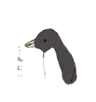 たまに怖い顔をするアデリーペンギン2（個別スタンプ：11）