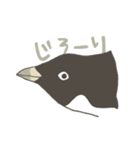 たまに怖い顔をするアデリーペンギン2（個別スタンプ：12）